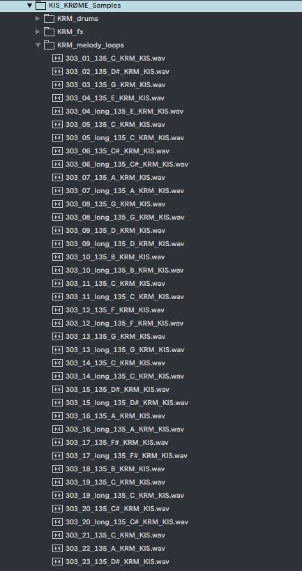 List of audio files with extensions in a directory structure on a computer screen.